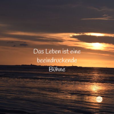 Eine Muschel behält ihre Schönheit, ganz egal was sie durch gemacht hat