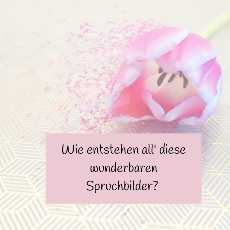 Endlich ein Planer mit viel Platz! Wohlzeit