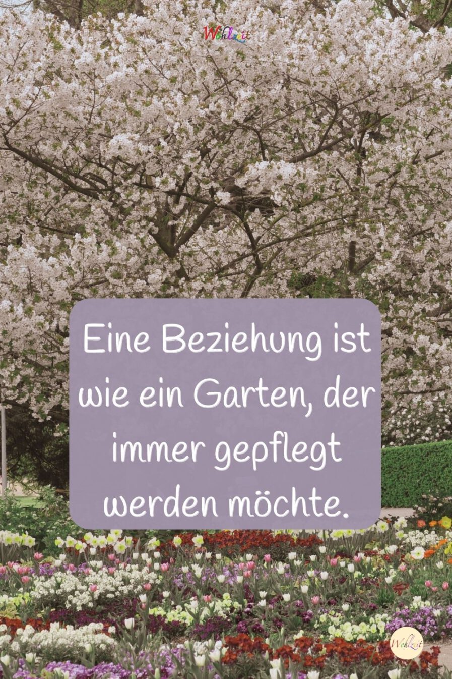 Eine Beziehung ist wie ein Garten, der immer gepflegt werden möchte