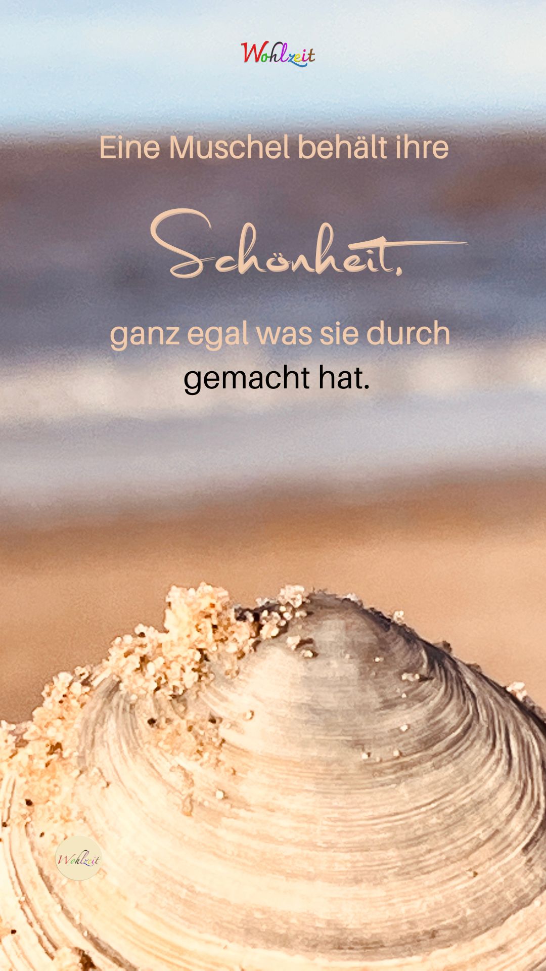 Eine Muschel behält ihre Schönheit, ganz egal was sie durch gemacht hat
